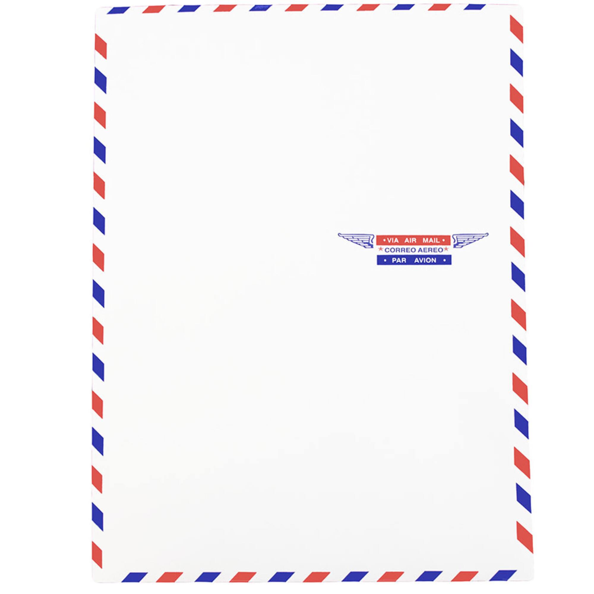 JAM Paper 9" x 12" White Airmail Envelopes